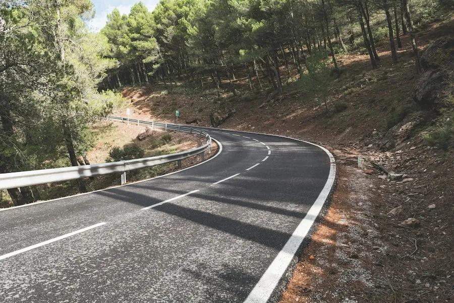 Une route à travers les pins